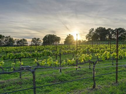 7505 Wise Rd, Auburn, CA 95603 Photo