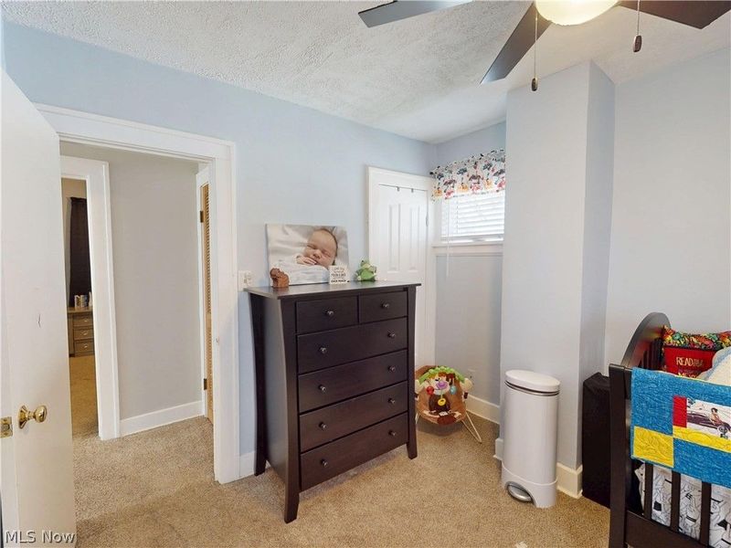 3740 W 132nd Street, Cleveland, OH 44111 Photo 26