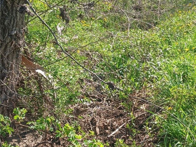 5980 State Route 60, McConnelsville, OH 43756 Photo 2