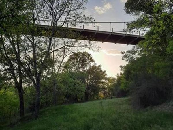 441 CR 433 , Mullin, TX 76864