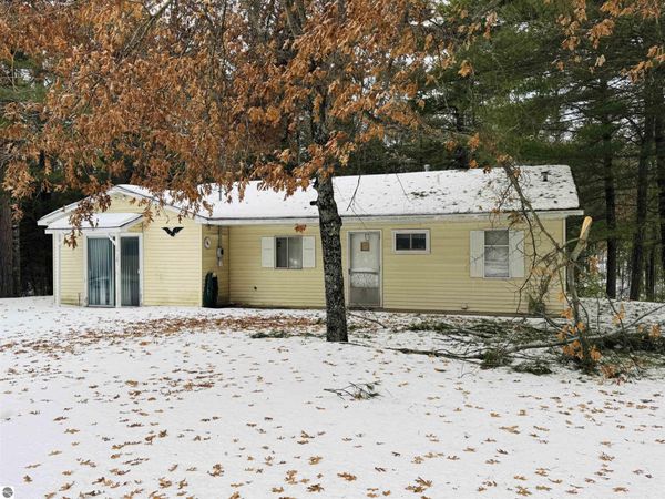 10986 Gillow Road SE, Fife Lake, MI 49633