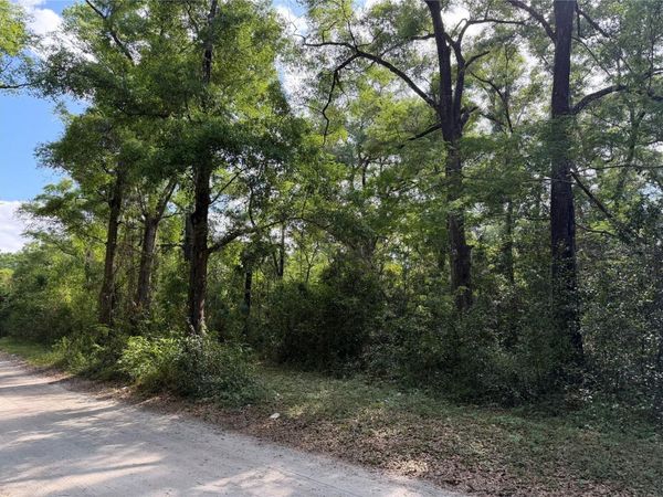 1410 NW 10TH STREET , CHIEFLAND, FL 32626