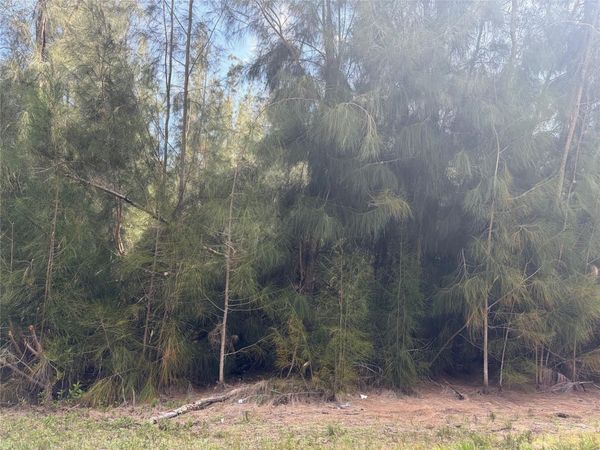 12088 ESTRELLA BOULEVARD , PUNTA GORDA, FL 33955