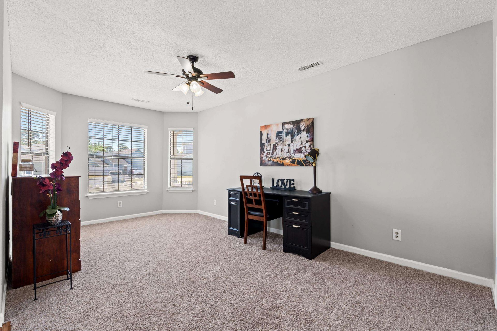 910 Emanon St. Photo 7