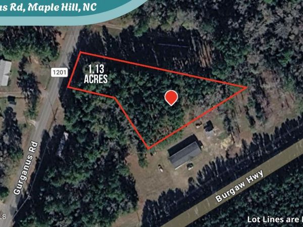 1.13 Acres Gurganus Road, Maple Hill, NC 28454