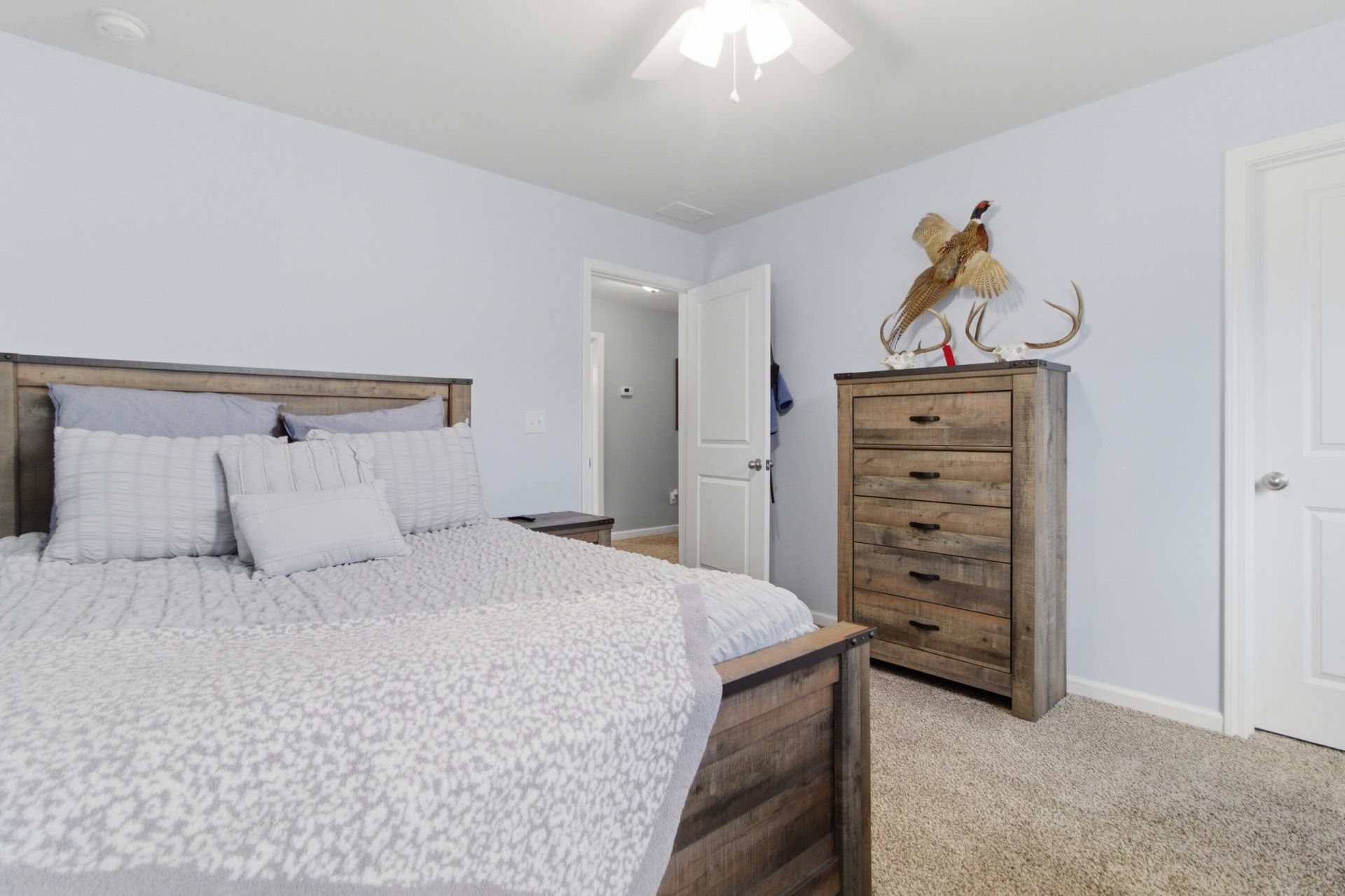 2509 Hummingbird Lane Photo 33