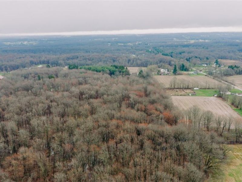 W Western Reserve Road, Canfield, OH 44406 Photo 10