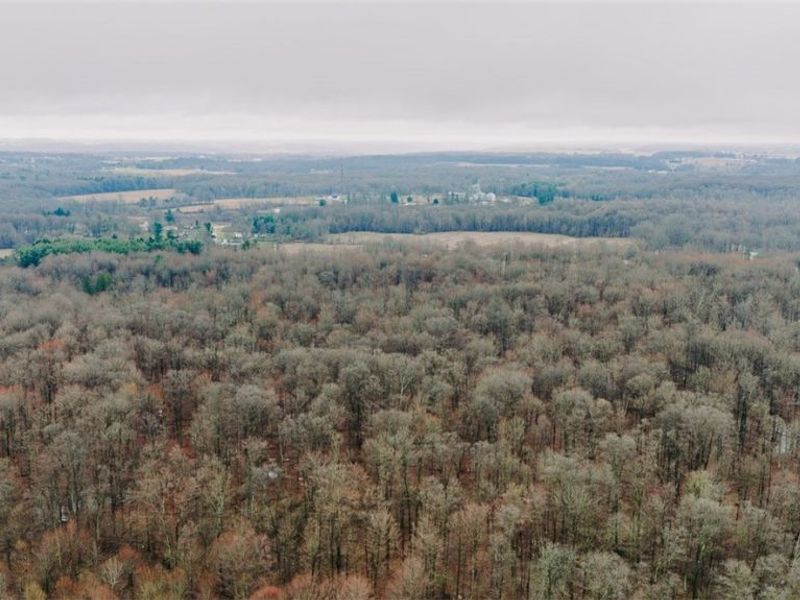 W Western Reserve Road, Canfield, OH 44406 Photo 11