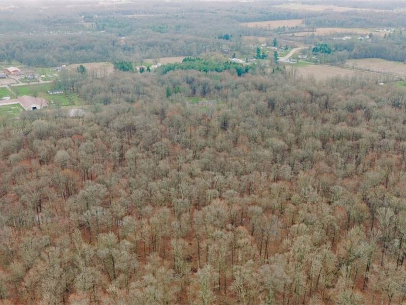 W Western Reserve Road, Canfield, OH 44406 Photo 12