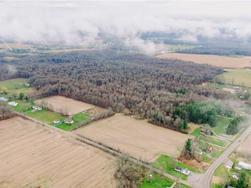 W Western Reserve Road, Canfield, OH 44406 Photo 14