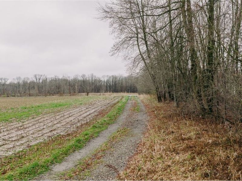 W Western Reserve Road, Canfield, OH 44406 Photo 3