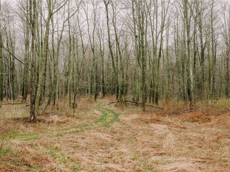 W Western Reserve Road, Canfield, OH 44406 Photo 4