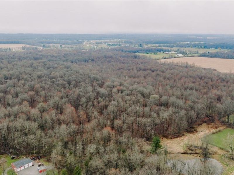 W Western Reserve Road, Canfield, OH 44406 Photo 8