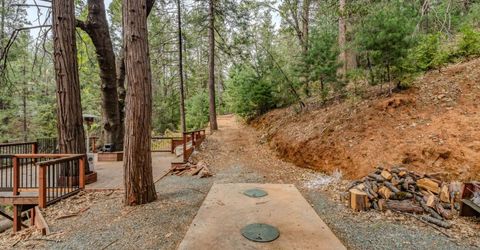 25445 Meadow Dr, Pioneer, CA 95666 Photo