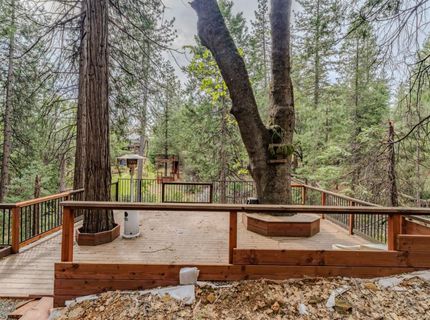 25445 Meadow Dr, Pioneer, CA 95666 Photo