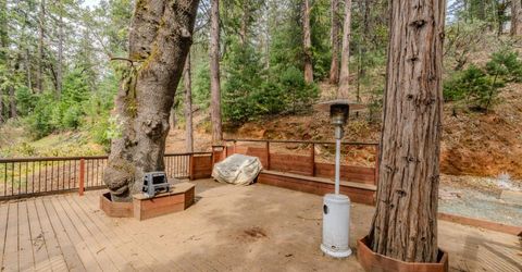 25445 Meadow Dr, Pioneer, CA 95666 Photo