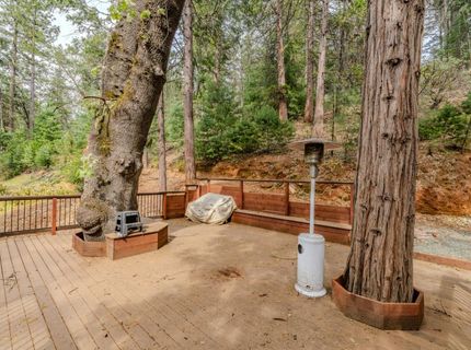 25445 Meadow Dr, Pioneer, CA 95666 Photo