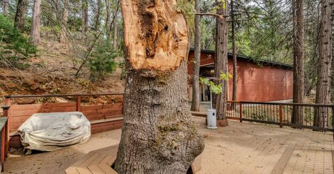 25445 Meadow Dr, Pioneer, CA 95666 Photo