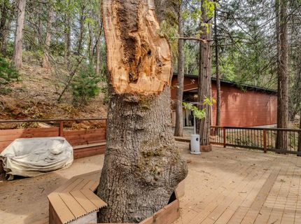 25445 Meadow Dr, Pioneer, CA 95666 Photo