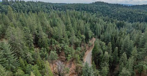 25445 Meadow Dr, Pioneer, CA 95666 Photo