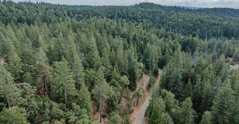 25445 Meadow Dr, Pioneer, CA 95666 Photo