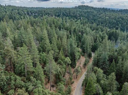 25445 Meadow Dr, Pioneer, CA 95666 Photo