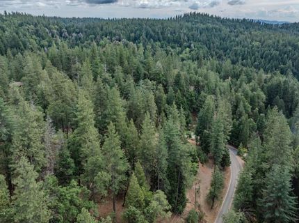 25445 Meadow Dr, Pioneer, CA 95666 Photo