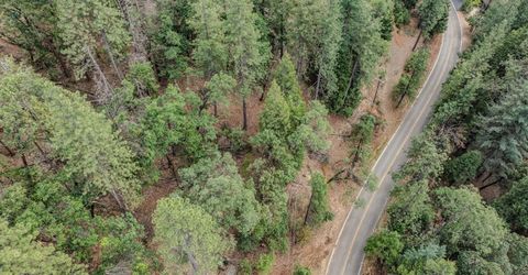 25445 Meadow Dr, Pioneer, CA 95666 Photo