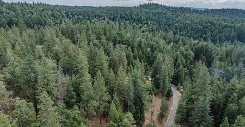 25445 Meadow Dr, Pioneer, CA 95666 Photo