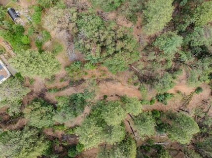 25445 Meadow Dr, Pioneer, CA 95666 Photo