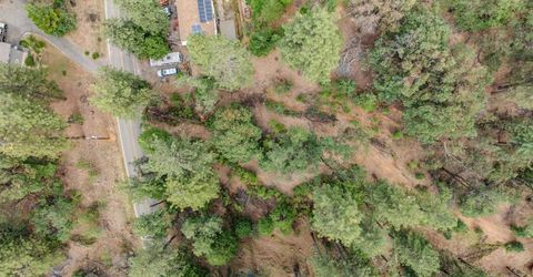 25445 Meadow Dr, Pioneer, CA 95666 Photo