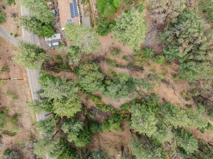 25445 Meadow Dr, Pioneer, CA 95666 Photo