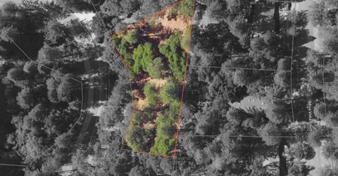 25445 Meadow Dr, Pioneer, CA 95666 Photo