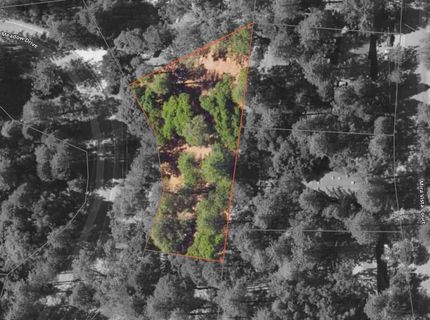 25445 Meadow Dr, Pioneer, CA 95666 Photo