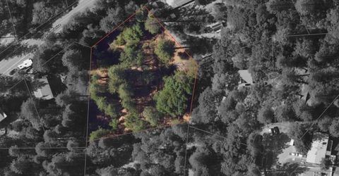 25445 Meadow Dr, Pioneer, CA 95666 Photo