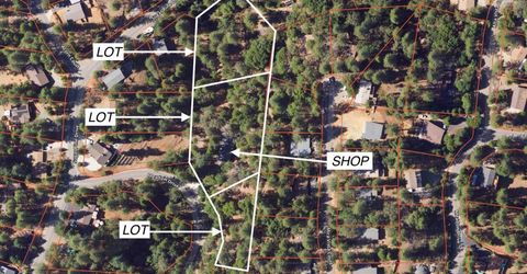 25445 Meadow Dr, Pioneer, CA 95666 Photo