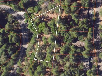 25445 Meadow Dr, Pioneer, CA 95666 Photo