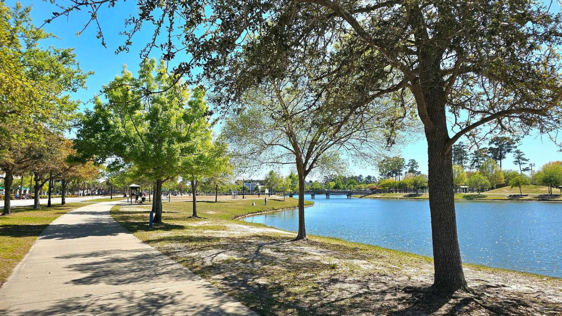 1810 Orchard Dr. Photo 53