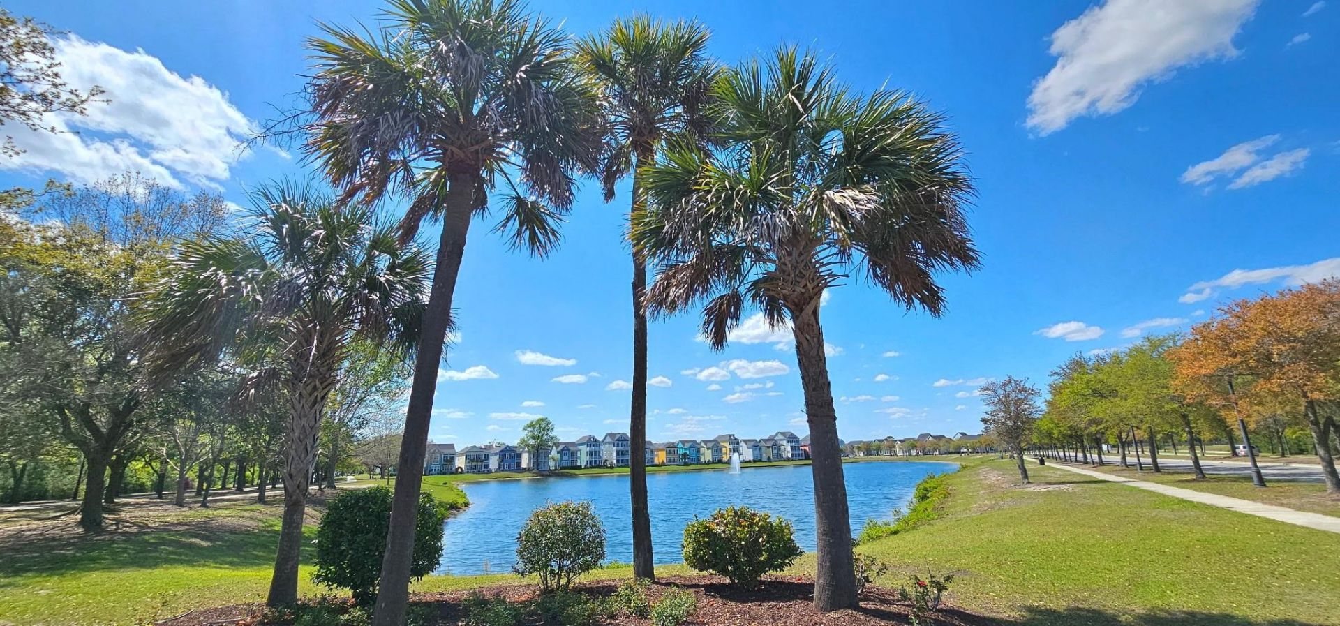 1810 Orchard Dr. Photo 57