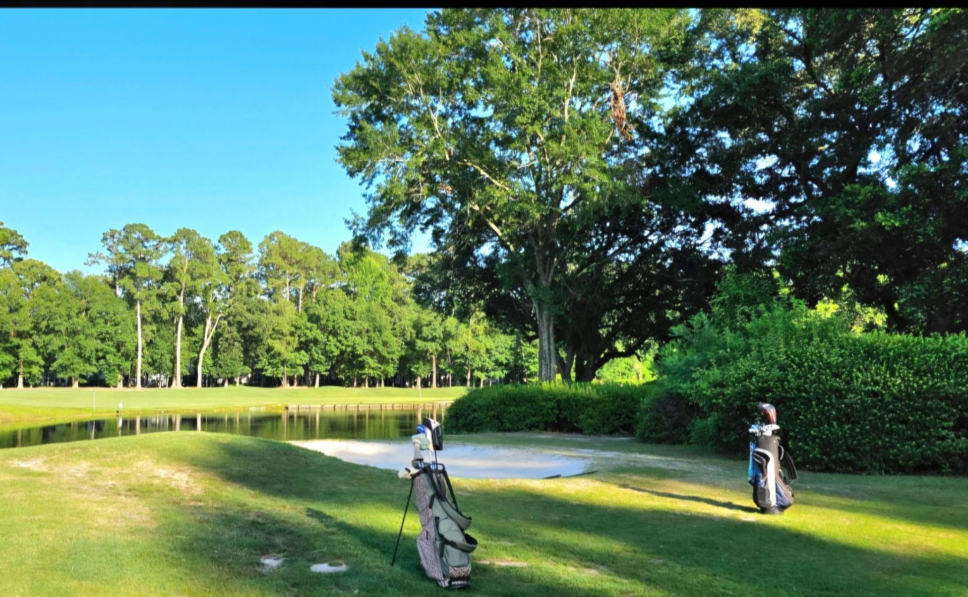 1810 Orchard Dr. Photo 58