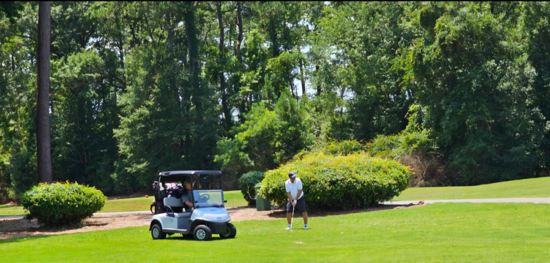 1810 Orchard Dr. Photo 58