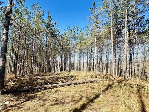 173 Center Ridge Dr , Hohenwald, TN 38462