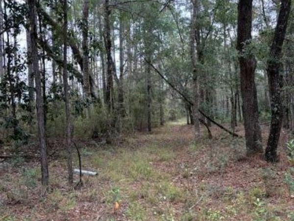 0000 Everest Drive , Chipley, FL 32428