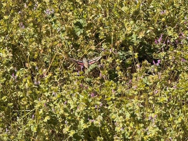 200 N Lakeview Street, Broken Bow, OK 74728