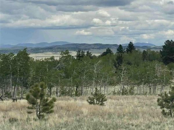 187 Angus Circle , Hartsel, CO 80449