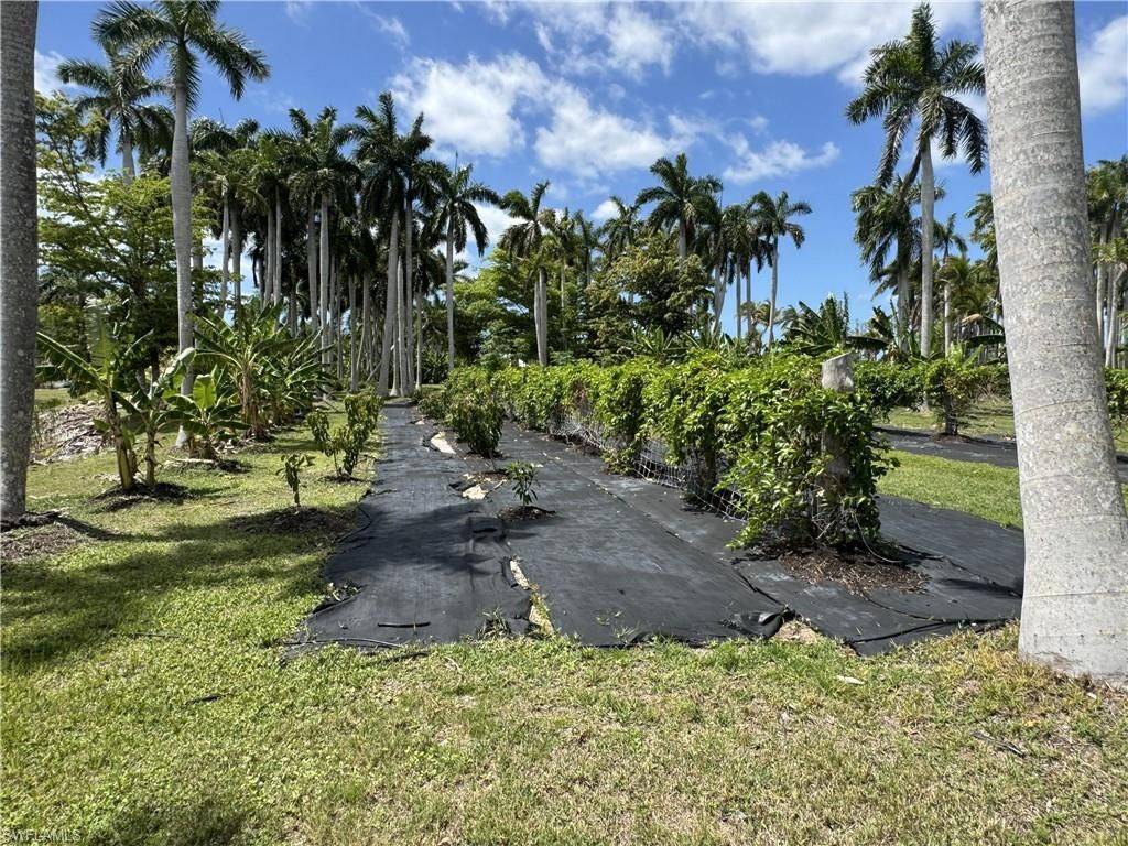 13641 Ficus Tree Ln, Bokeelia, FL 33922 Photo