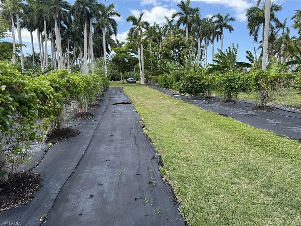 13641 Ficus Tree Ln, Bokeelia, FL 33922 Photo