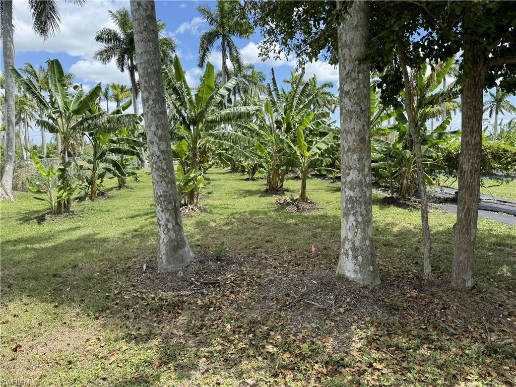 13641 Ficus Tree Ln, Bokeelia, FL 33922 Photo