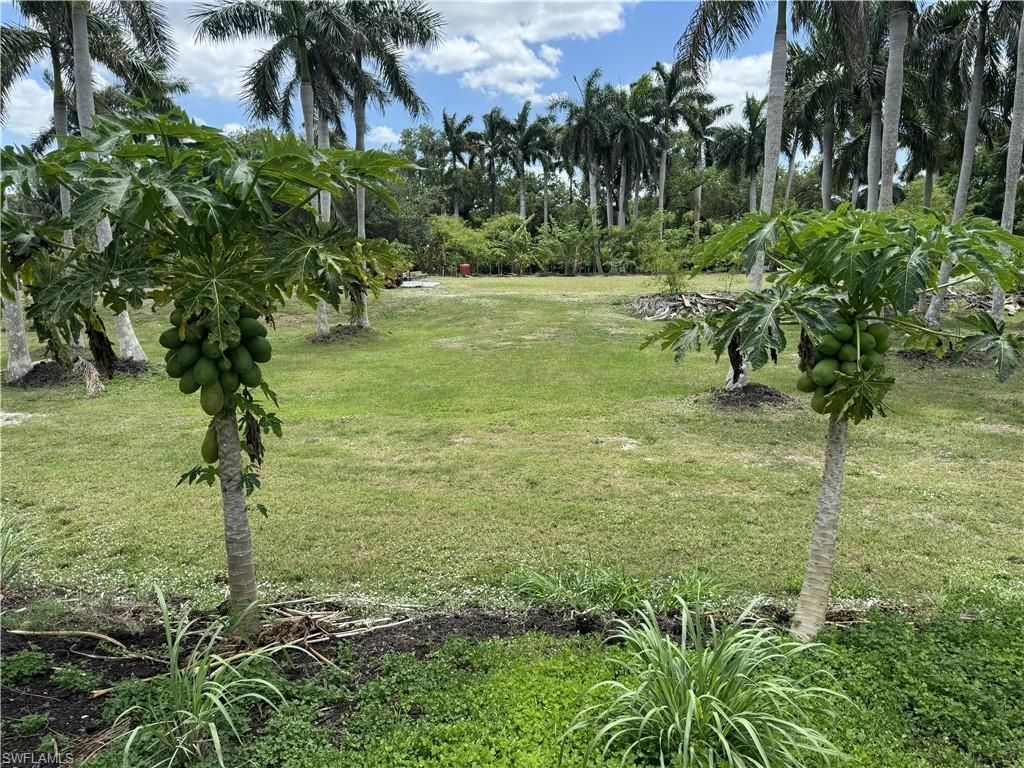 13641 Ficus Tree Ln, Bokeelia, FL 33922 Photo