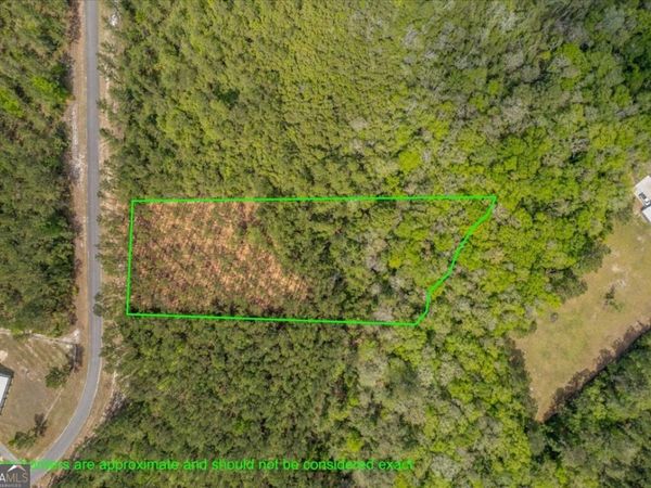 LOT 22 Heritage Way, Hortense, GA 31543